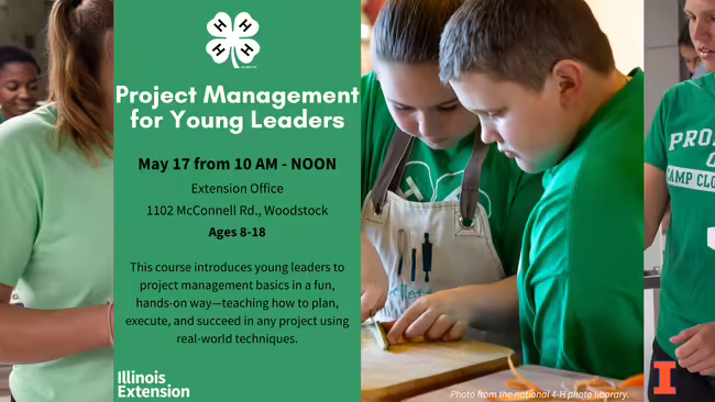 Project management for Young Leaders, Kids working