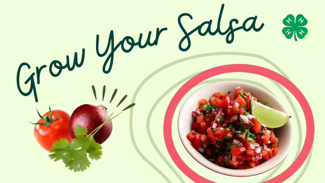 Grow Your Salsa, text pictured on a mint green background with a bowl of salsa