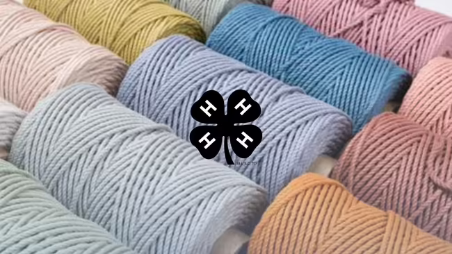 A variety of cord colors that can be used to make macrame.