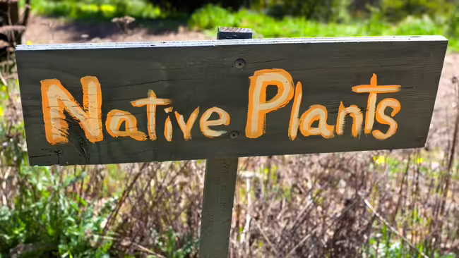native plants sign