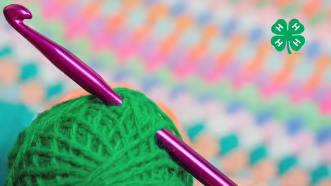 A ball of green yarn with a crochet hook through the yarn. A green 4-H clover in the upper right corner.