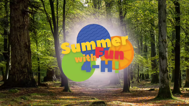 "Summer Fun with 4-H!" in front of trees