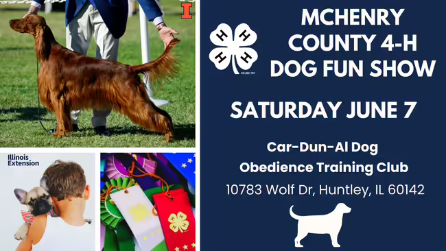 4-H Dog Fun Show