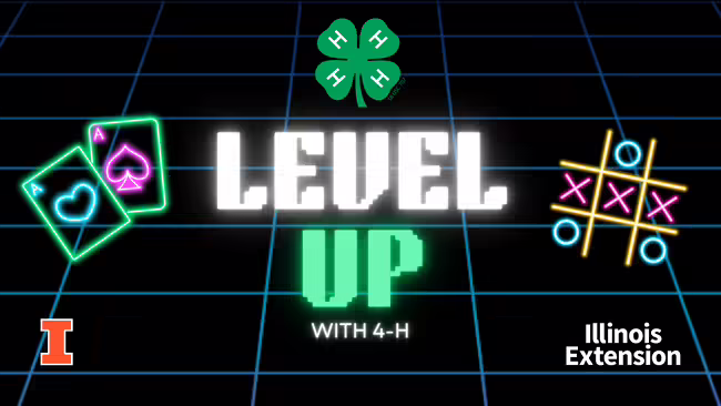 Level Up with 4-H - Playing cards and tic tac toe board