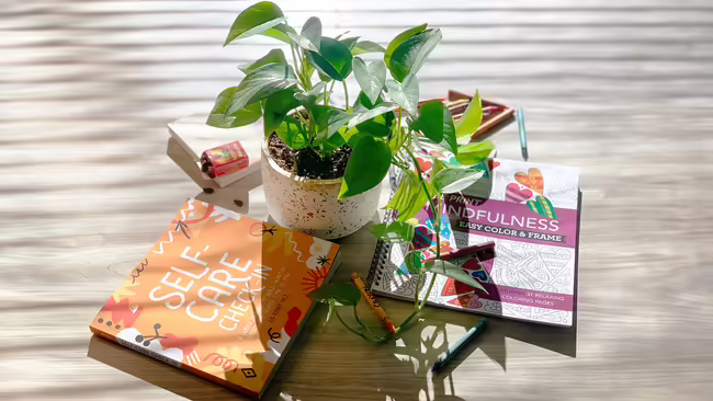 A plant surrounded by a self-care book, crayons, and a coloring book.