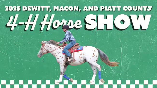 2025 DeWitt, Macon, and Piatt County 4-H Horse Show, rider on horse