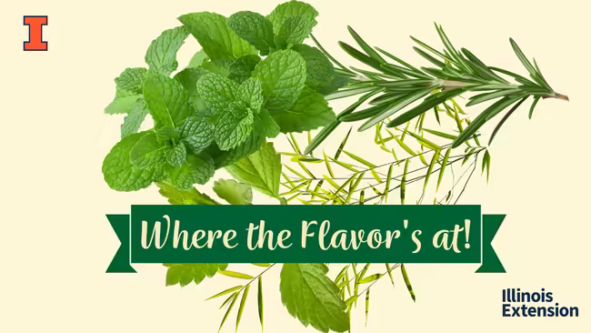Where the Flavor's At with green herbs