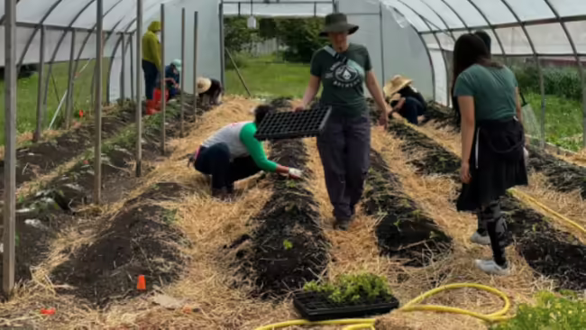People In a Hoop house