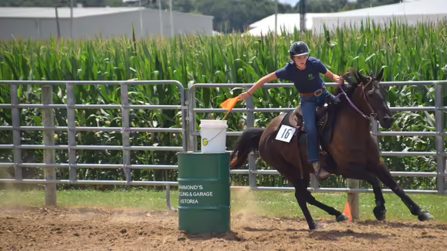 a girl on a horse riding around a barrel