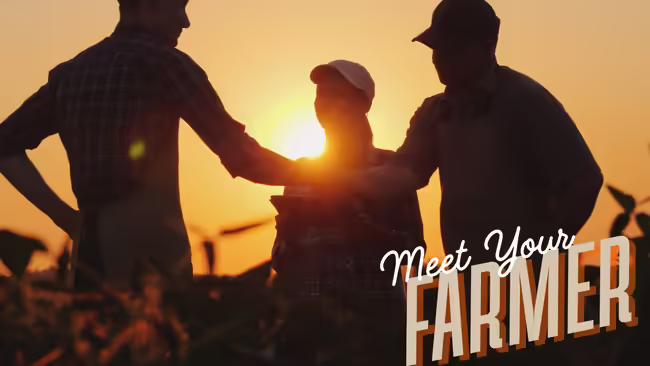 silhouette of a people shaking hands in a field
