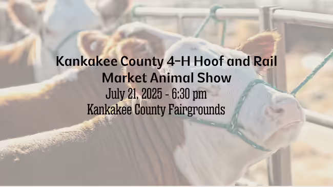 Kankakee County 4-H Hoof and Rail Market Animal Show July 21, 2025 6:30 p.m. Kankakee County Fairgrounds