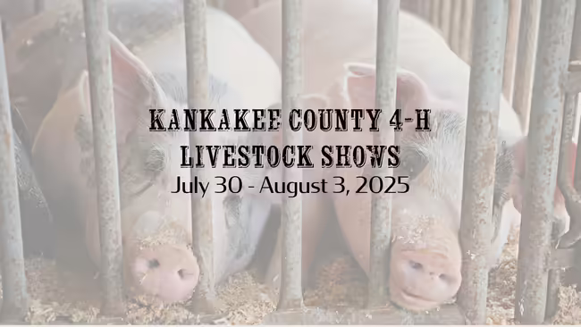 Kankakee County 4-H Livestock Shows July 30- August 3, 2025