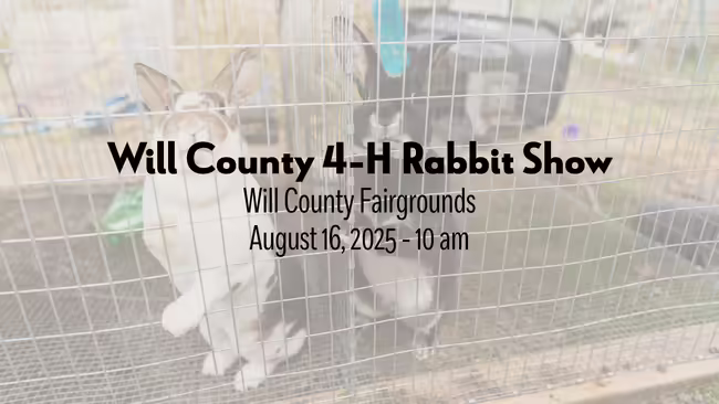 Will County 4-H Rabbit Show Will County Fairgrounds August 16, 2025 10 am
