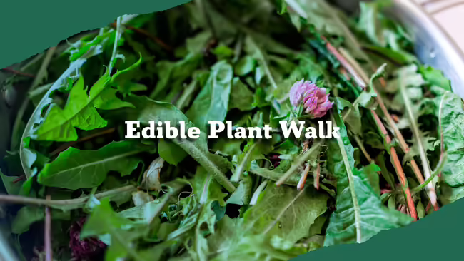 Edible greens with white text