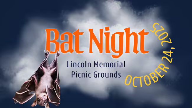Bat hanging from heading Bat Night