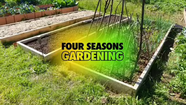Garden photo with text Four Seasons Gardening