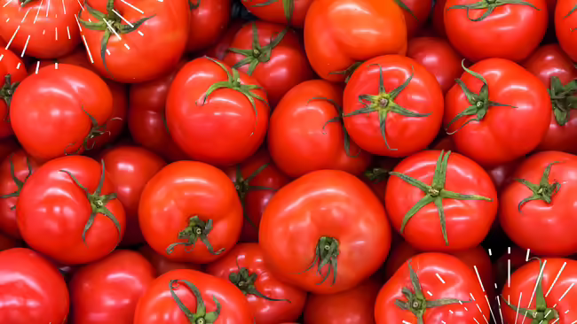 several tomatoes 