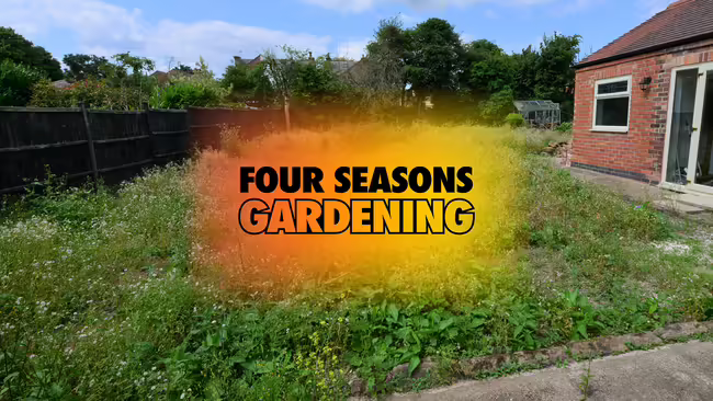 Unruly and overgrown backyard landscape behind a house with title text overlay