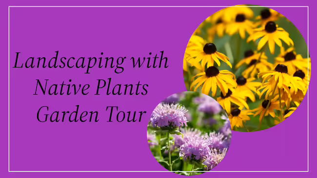 Black-eyed susan and beebalm on purple background with "Landscaping with Native Plant Garden Tour"