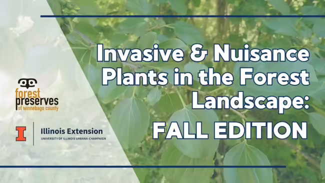 Invasive and Nuisance plants in the forest landscape: Fall Edition over picture of invasive plants