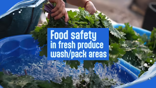 Food safety webinar