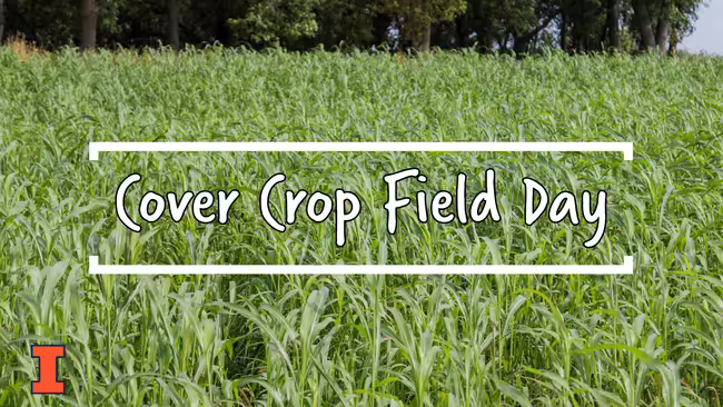 Cover Crop Field Day