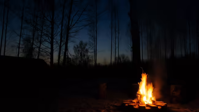 Woods at night with a campfire