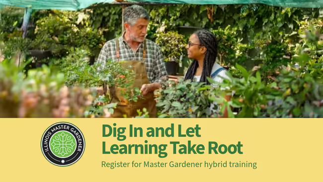 Man and woman talking in a greenhouse