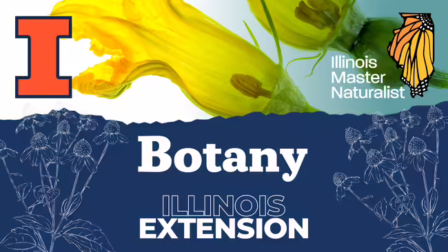 Botany workshop: image of pumpkin flower and Master Naturalist logo
