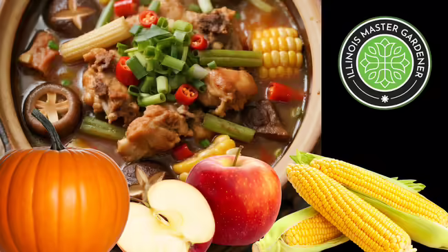 using produce to make a meal: pumpkin, apples, corn
