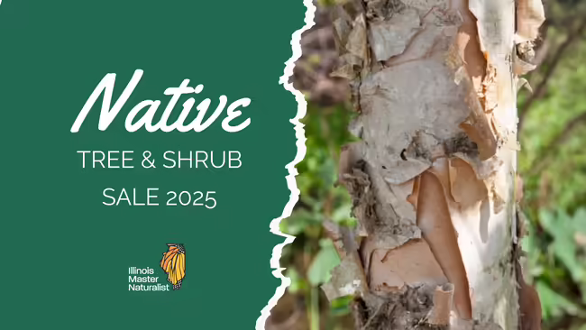 Native Tree & Shrub Sale
