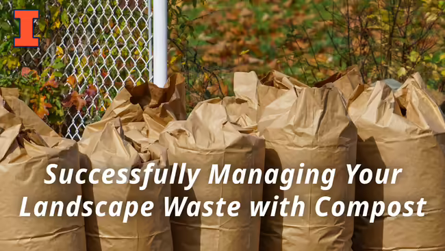 yard waste lined up