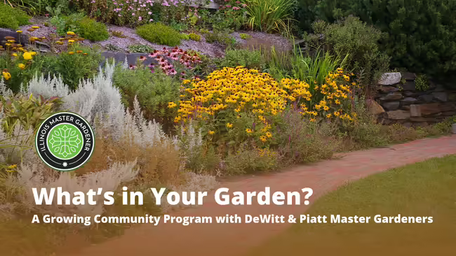 What's in your garden? Text layered over a colorful outdoor garden with master gardener logo pictured