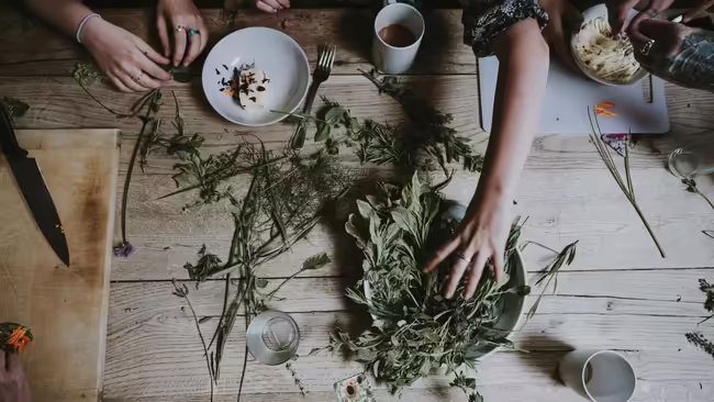 herbs on a table