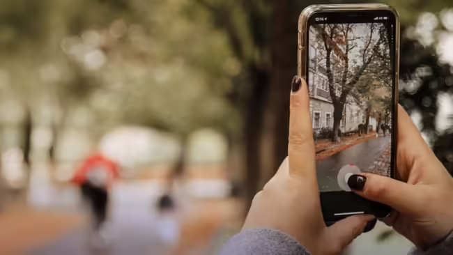A person holding a smartphone takes a picture of a street with trees and buildings.