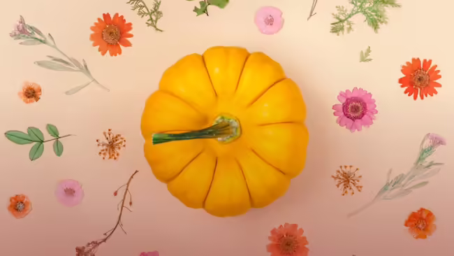 A pumpkin surrounded by pressed flowers on a nude colored background.