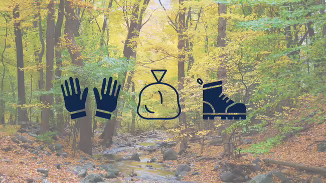 A forest and a pair of gloves, a trash bag, and a hiking boot.