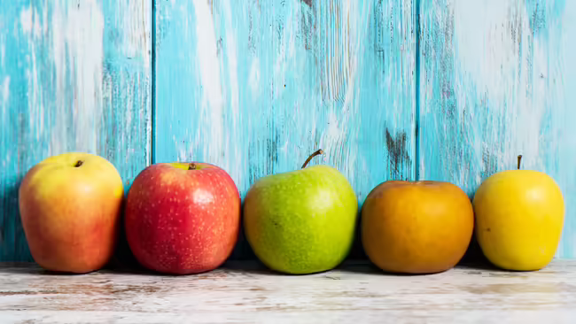 A variety of apples lined up against a blue wall