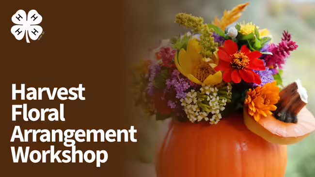 A flower arrangement inside of a pumpkin and text "harvest floral arrangement workshop" and the 4-H clover logo