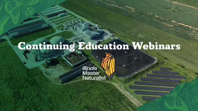 continuing education webinar