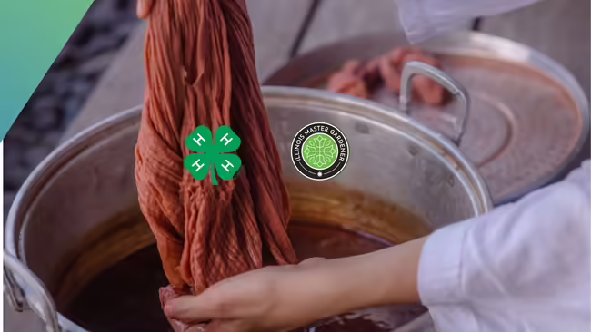 close up of hands pulling fabric out of a pot of fabric dye