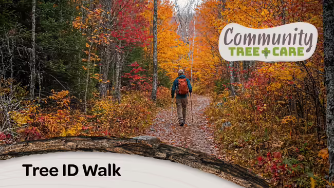 Hiking trail with fall colors