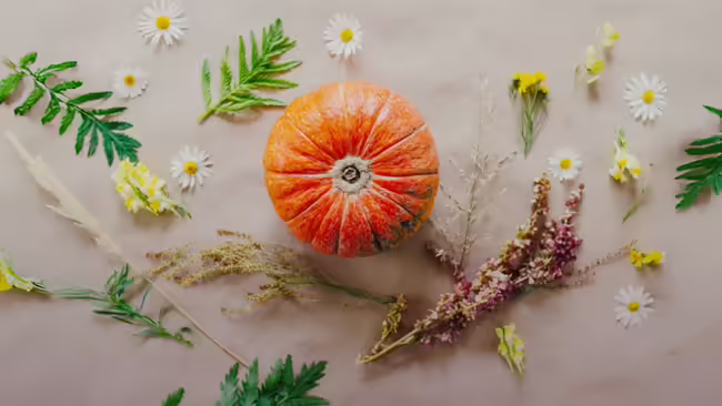 A single small pumpkin is centered on a brown background, surrounded by various pressed flowers and leaves.