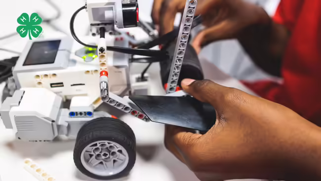 A pair of hands working on a LEGO robot with wheels.