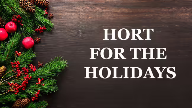 holiday garland scattered on a dark wood background. Text overlay reads: Hort for the Holidays