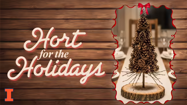 wood grain with tree made from pinecones