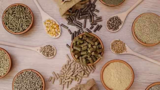 Animal feed
