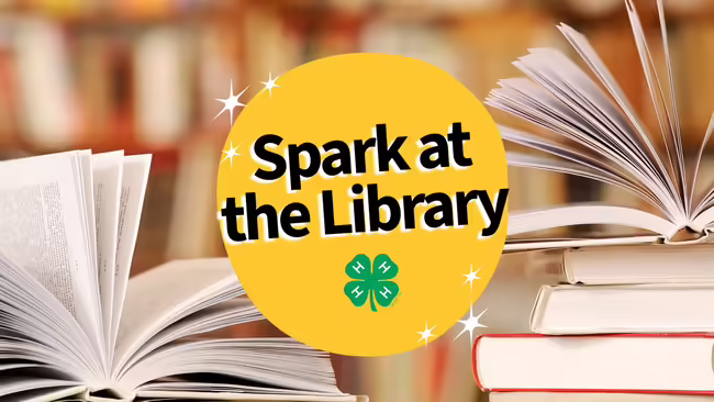 books stacked, two with pages flipped open, and text "spark at the Library" with sparkle icons and the 4-H clover logo