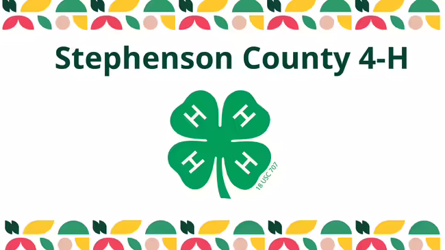 white background, colorful shapes for top and bottom border