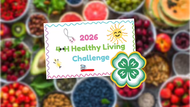 2026 Healthy Living Challenge